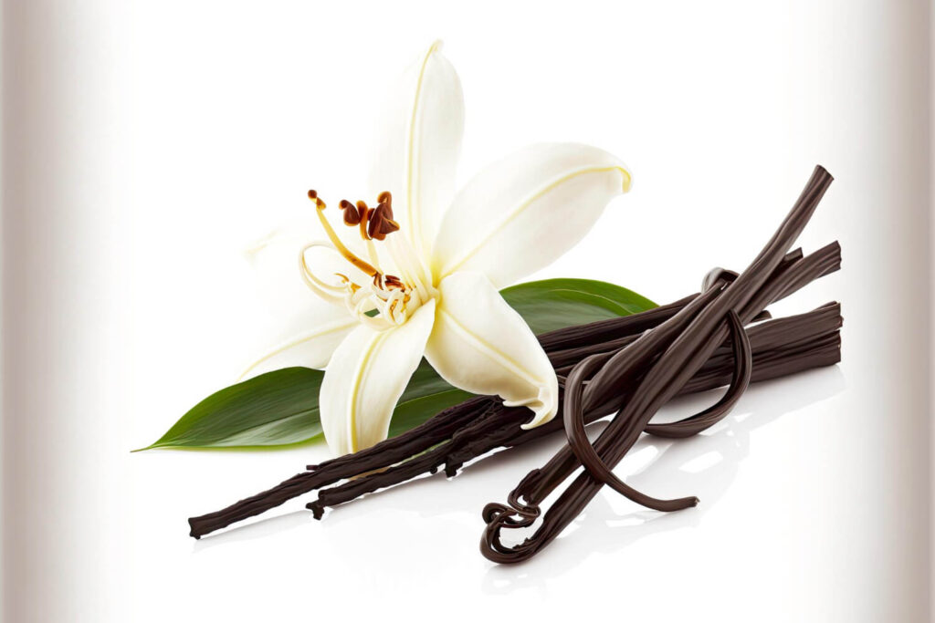 Vanilla Beans | Dessert sun